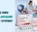 How Long Does Hydroxychloroquine Stay in Your System